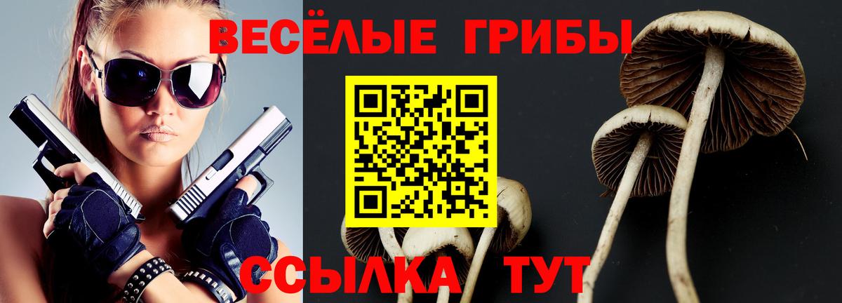 Псилоцибиновые грибы GOLDEN TEACHER Кстово